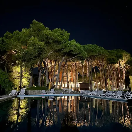Beau Rivage Pineta 4*
